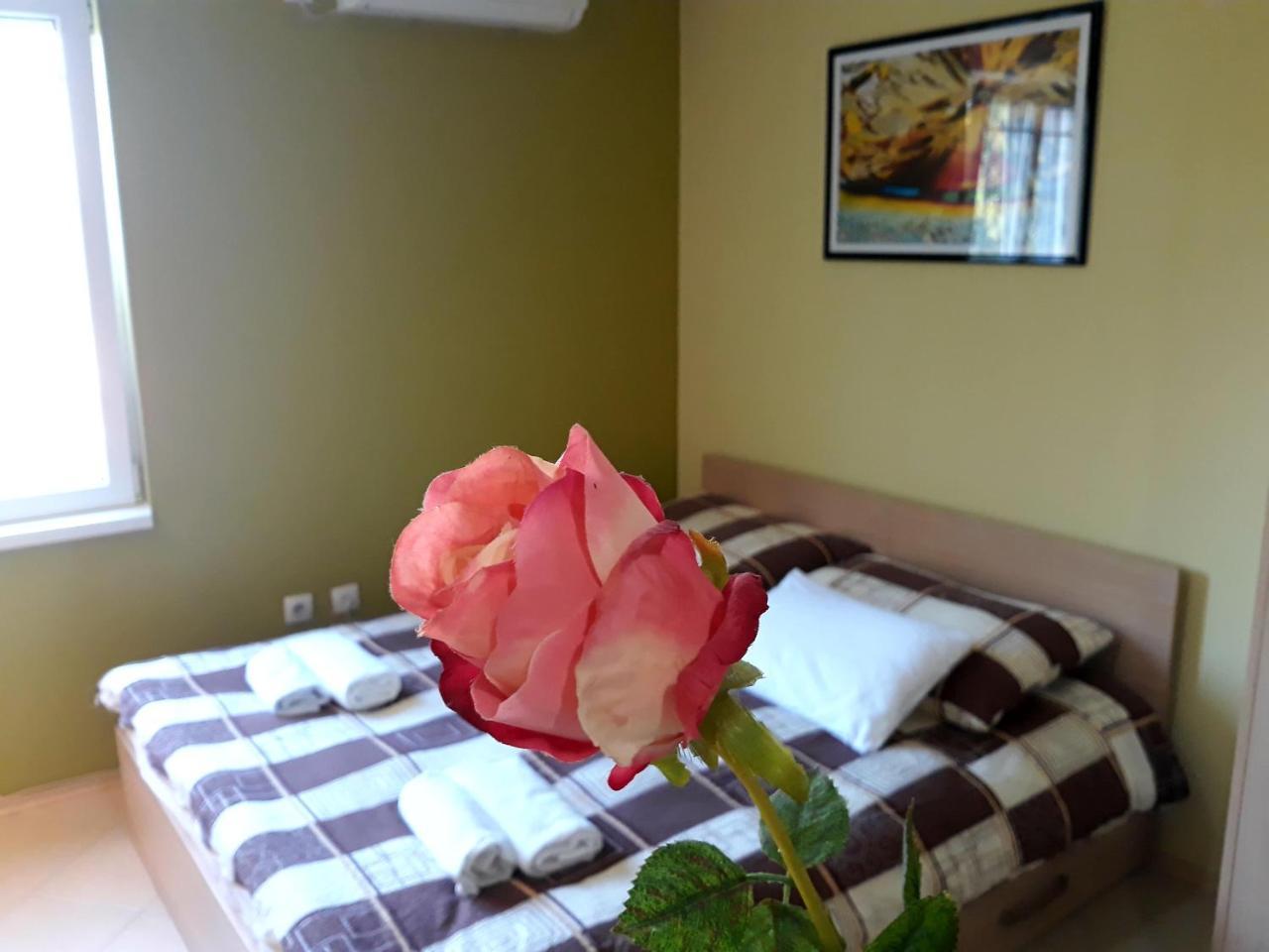 Apartments Popovic Belgrado Esterno foto